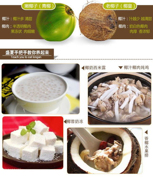 海南老椰子批發(fā) 品質(zhì)之選，新鮮直達(dá)