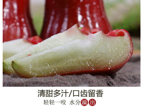 熱帶鮮果“黑珍珠”——新鮮蓮霧與海南霧蓮果的批發(fā)嘗鮮指南